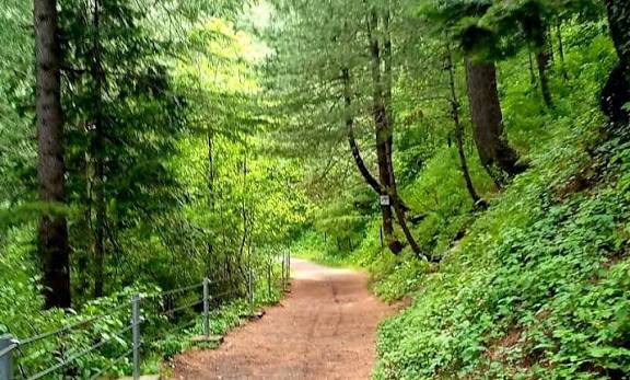 Ayubia Park