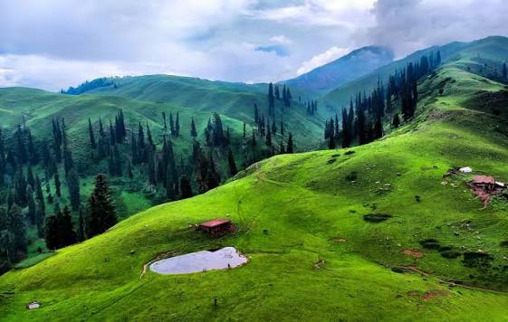 Mushkpuri Top